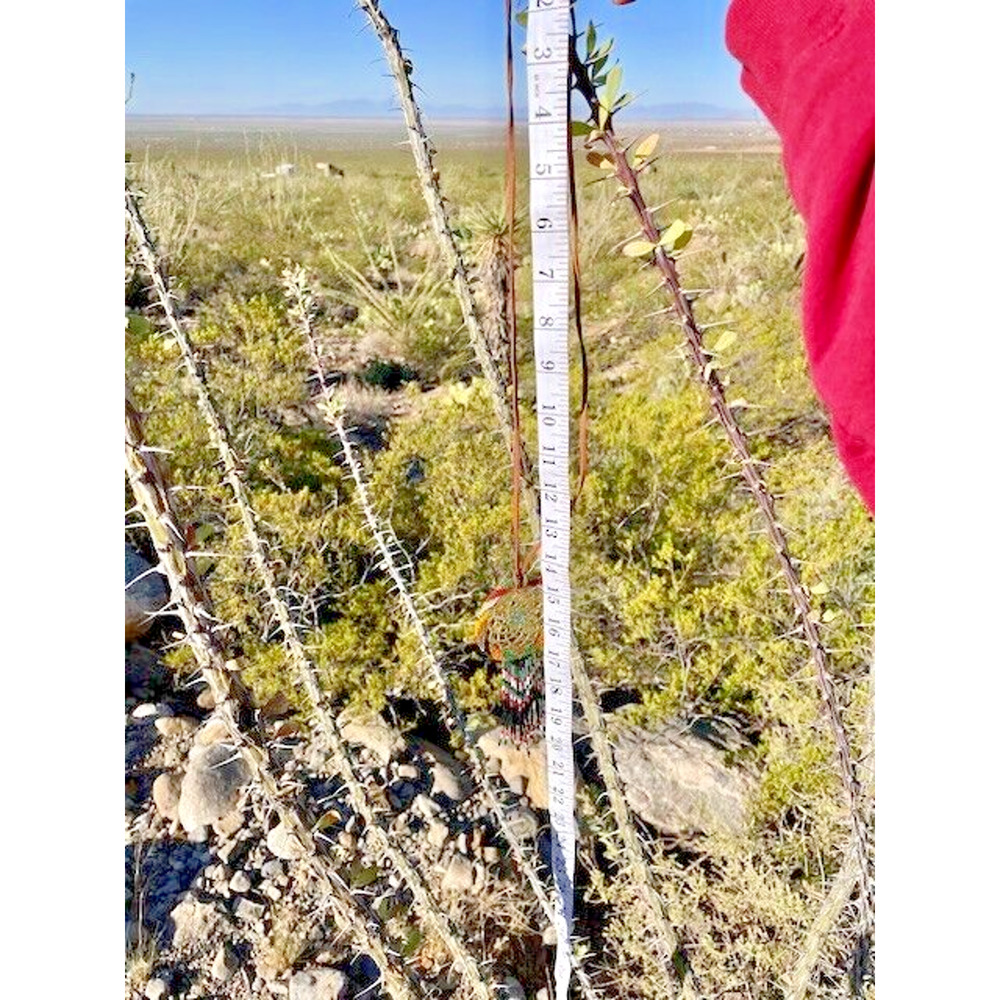 Native American Beaded Necklace 18.5" Handmade by Marian Curly - Picture 4 of 4